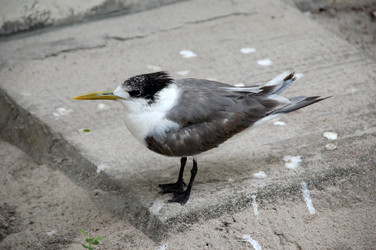 Similar image 6762188