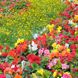 Similar image 6762377