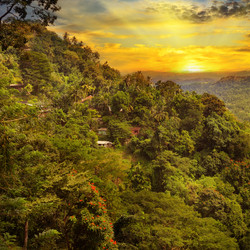 Similar image 6762378