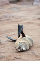 Similar image 6762457