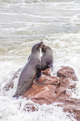 Similar image 6762459