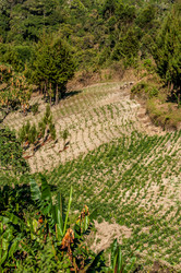 Similar image 6762465