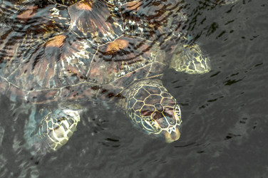 Similar image 6762467