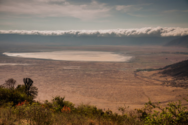 Similar image 6762469