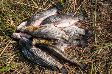 Similar image 6762475