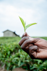 Similar image 6762485