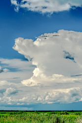 Similar image 6762488