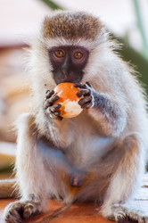 Similar image 6762497