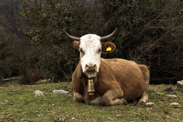 Similar image 6762512