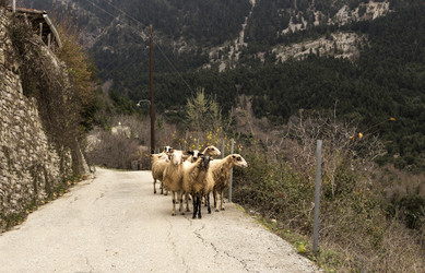 Similar image 6762513