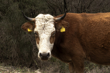 Similar image 6762515