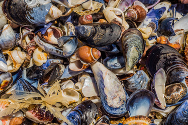 Similar image 6762690