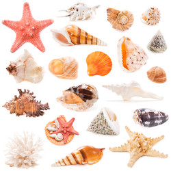 Similar image 6762706