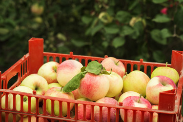 Similar image 6762737