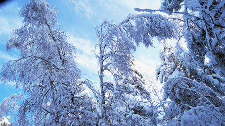 Similar image 6762807