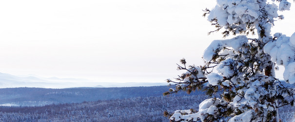 Similar image 6762808