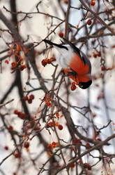 Similar image 6762815