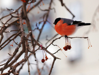 Similar image 6762848