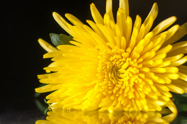 Similar image 6762886