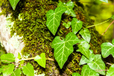 Similar image 6763211