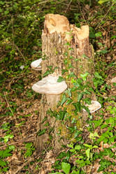 Similar image 6763212