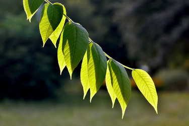 Similar image 6763226