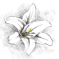 Similar image 6763234