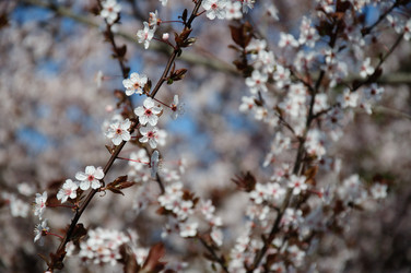 Similar image 6763245