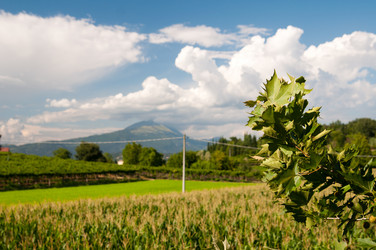 Similar image 6763246