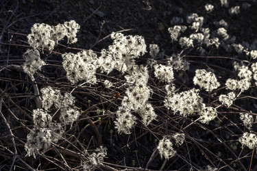 Similar image 6763248