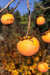 Similar image 6763252