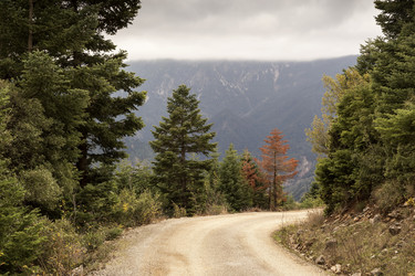 Similar image 6763256