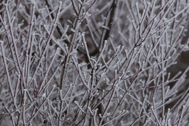 Similar image 6763272