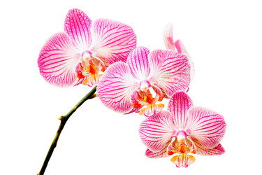 Similar image 6763289