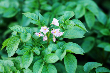 Similar image 6763295