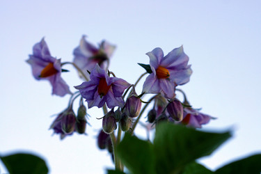 Similar image 6763297