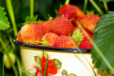 Similar image 6763307