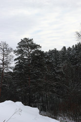 Similar image 6763363