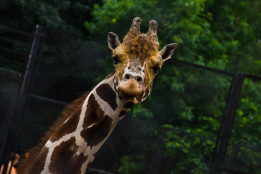 Similar image 6763413