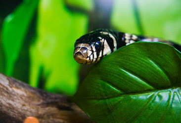 Similar image 6763415