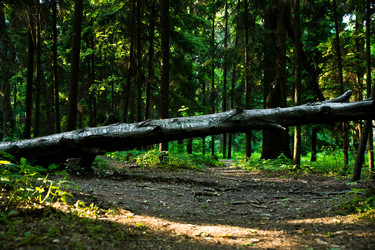 Similar image 6763441