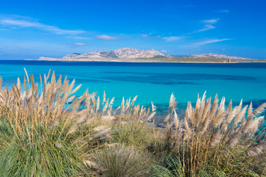 Similar image 6763688