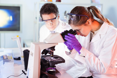 Similar image 6763816