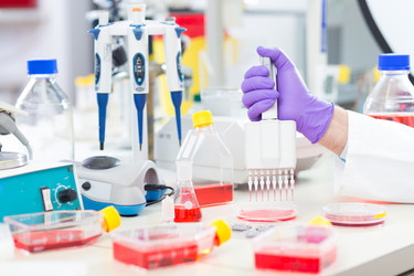 Similar image 6763850