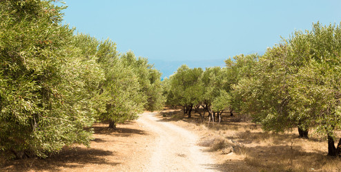 Similar image 6763921