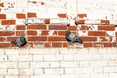 Similar image 6764237