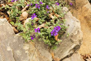 Similar image 6764258