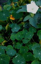 Similar image 6764277