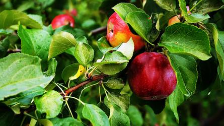 Similar image 6764278