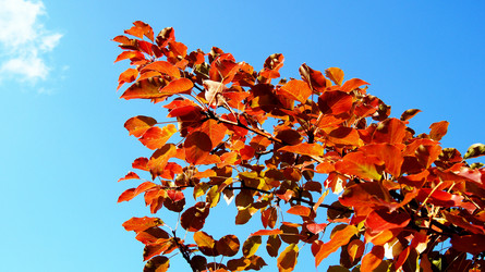 Similar image 6764283